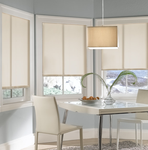 Roller shades in Raleigh