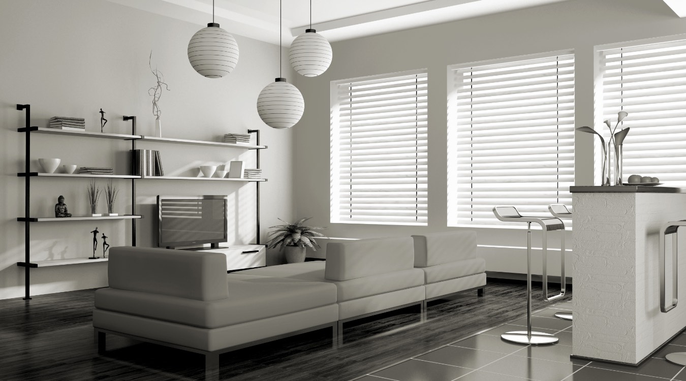 white blinds in Raleigh